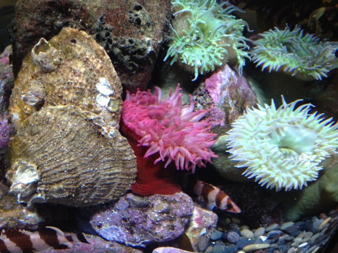 20121111-193217.jpg