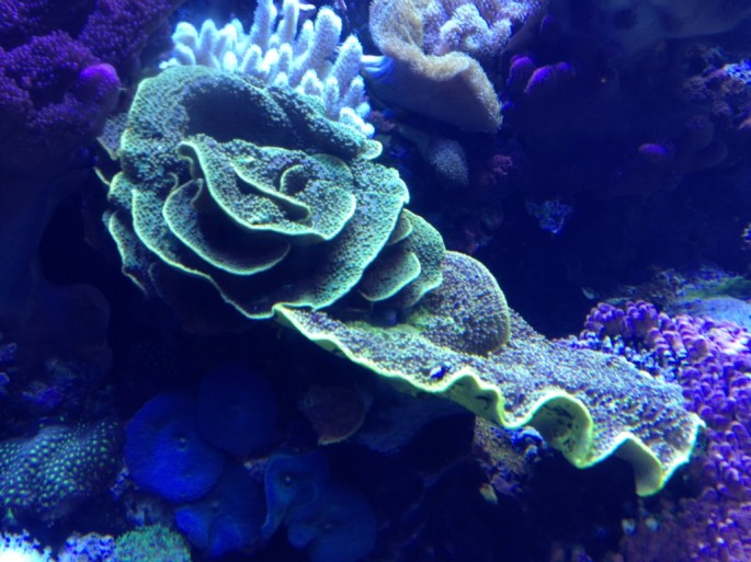 20121111-193305.jpg